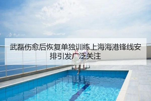 武磊伤愈后恢复单独训练上海海港锋线安排引发广泛关注